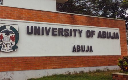 UniAbuja gets new acting VC