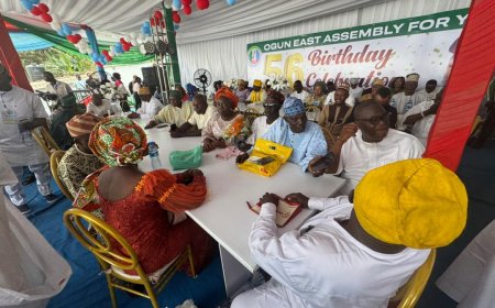 Ogun-East Assembly Endorses Senator Adeola, Asiwaju for 2027
