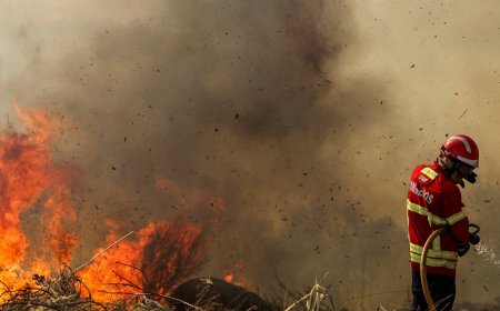 Wildfires in Spain kill one, force thousands to flee