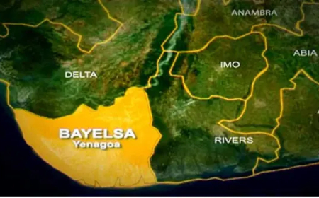 Auto crash claims 2 in Bayelsa