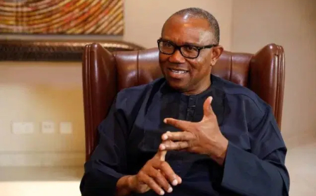 Tinubu going on another trip while Nigeria bleeds – Peter Obi