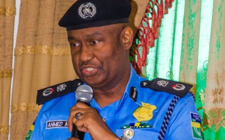 Bandit detained in Sokoto not Islamic cleric – Police