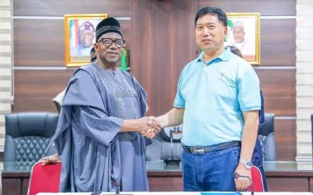 Bauchi gov appoints Chinese national as economic adviser