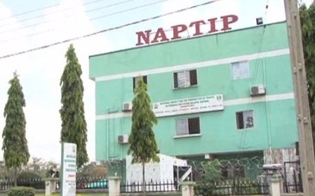 Spiritual cleansing: Parents defending Rivers pastor who flogged children need counselling – NAPTIP