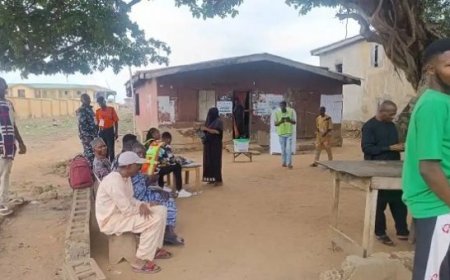 Ibadan by-election: APC laments low turnout, PDP hails peaceful poll