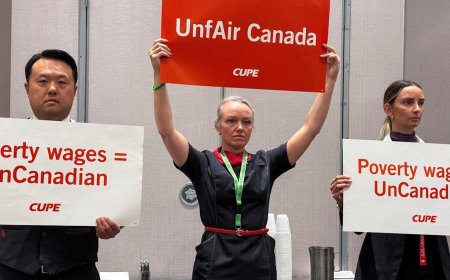 Travel chaos: Air Canada shut down by flight attendant strike