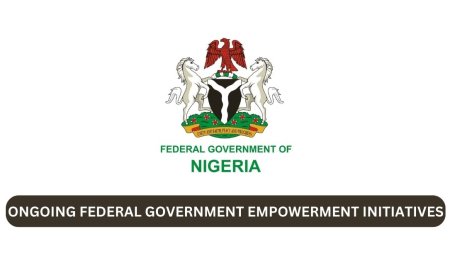 Ongoing Federal Government Empowerment Programs 2025 For Nigerians (How To Apply)