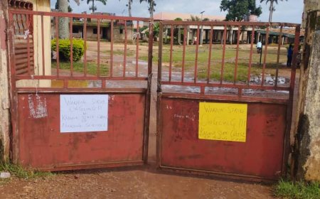 Kaduna nursing college staff embark on three-day strike