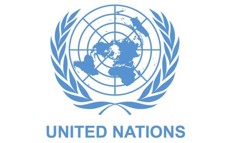383 aid workers killed in 2024 – UN