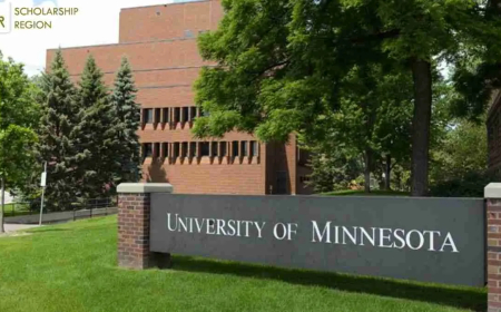 University of Minnesota Undergraduate Scholarship in USA 2026 | Step-by-Step Process