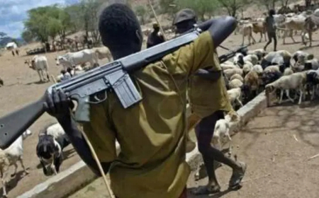 Armed herders kill mother, son, 2 others in Benue communities