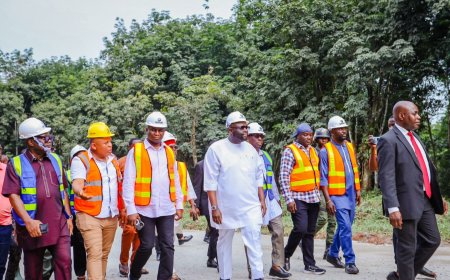 Senate committee inspects NDDC road projects in Cross River