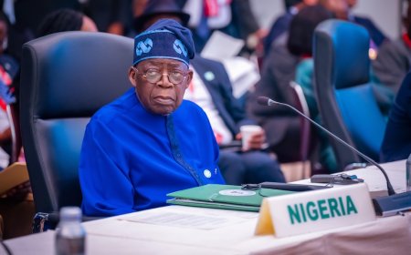 Your contributions needed at home, Tinubu tells Nigerians abroad