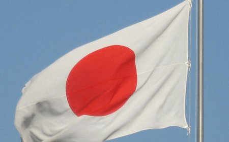 Japan city mulls two-hour daily smartphone limit