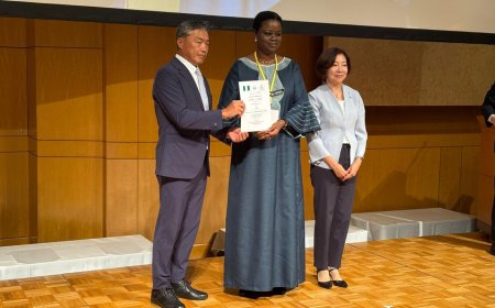 Japan designates city as hometown for Nigerians