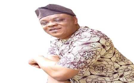 Lagos PDP deputy chair resigns