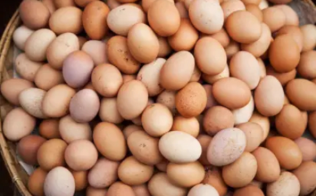 Lagos residents debunk slash in egg price