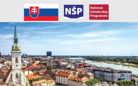 2026 Government of Slovak Republic National Scholarship Program | Fully Funded