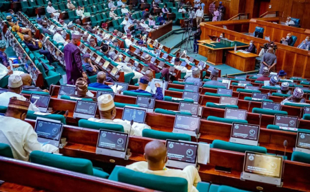 PDP Reps caucus backs party’s resolutions for 2027 elections