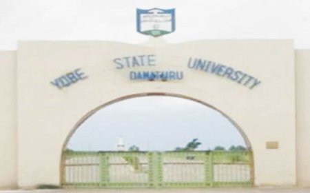 Buni mourns Yobe 100-level student killed in road crash