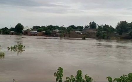 FG warns of flooding in nine northern states, 14 communities