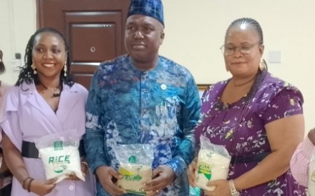 Ogun Food Crops Marketing Board Set To Storm Markets With Packaged Foods