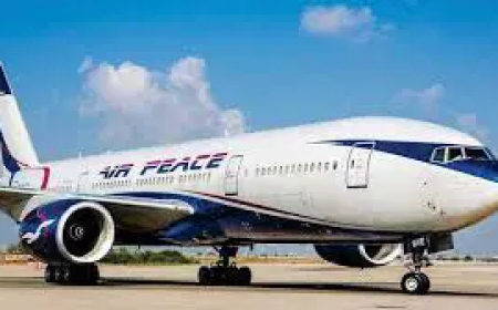 Air Peace to begin direct flight from Lagos to São Paulo – FG