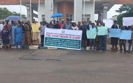 UniAbuja lecturers join nationwide protest over unpaid salaries, arrears