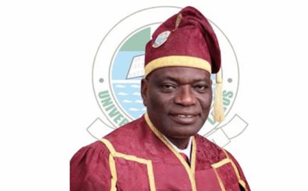 239 first-class lecturers quit UNILAG over poor pay – Ex-VC