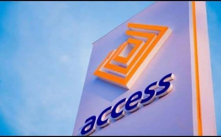 Access Holdings director, Ogbonna, resigns