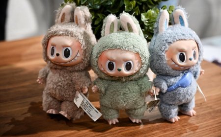 Labubu fans flock to stores after mini dolls unveiling