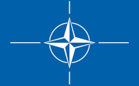 Couple arrested for leaking NATO secrets to Serbian group