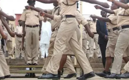 Immigration officers abroad decry 14 months salary arrears