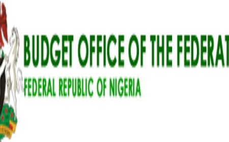 FG bars consultants, corps members from federal personnel payroll