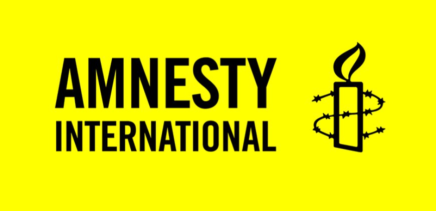 Amnesty International condemns closure of Niger radio station