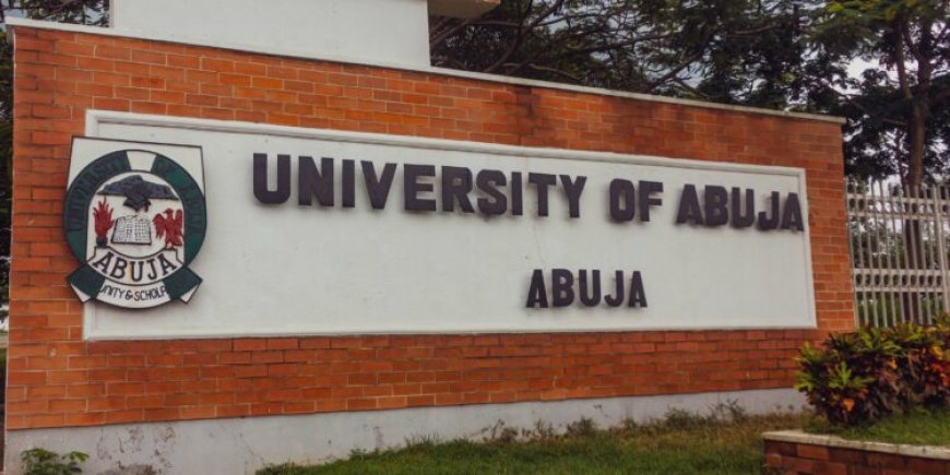 UniAbuja gets new acting VC