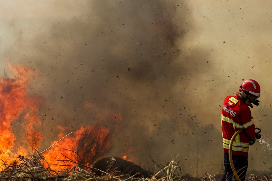 Wildfires in Spain kill one, force thousands to flee