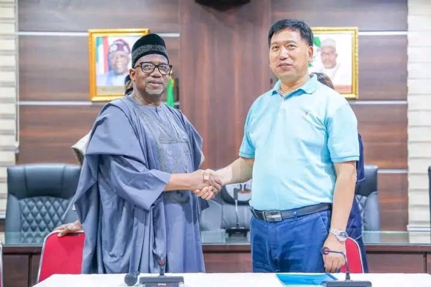 Bauchi gov appoints Chinese national as economic adviser