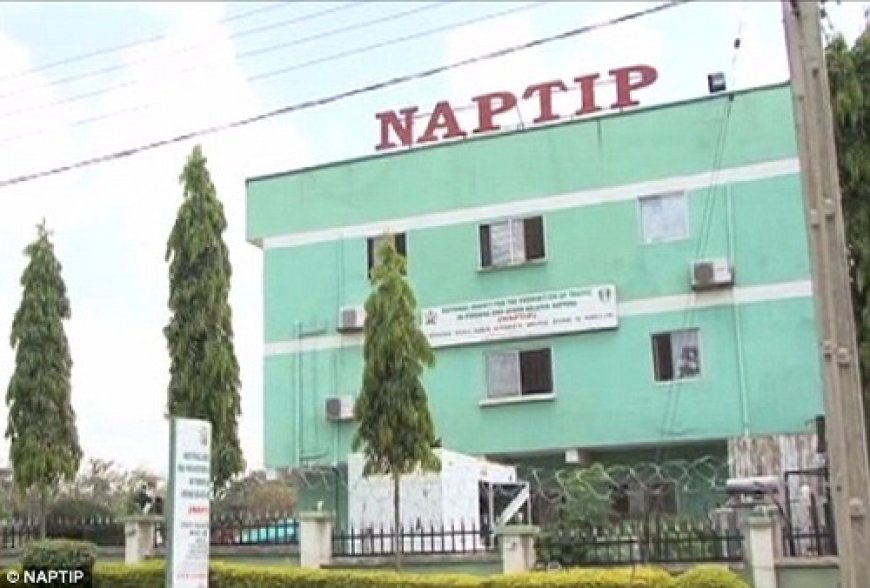 Spiritual cleansing: Parents defending Rivers pastor who flogged children need counselling – NAPTIP