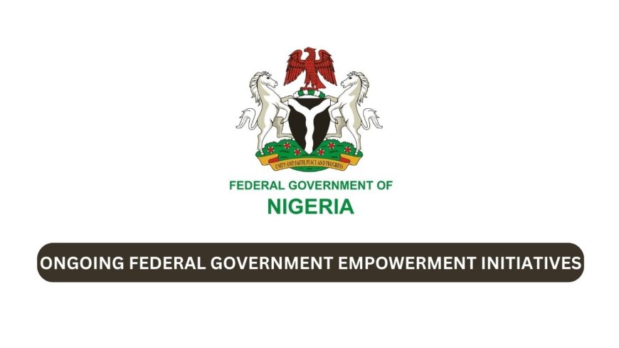 Ongoing Federal Government Empowerment Programs 2025 For Nigerians (How To Apply)
