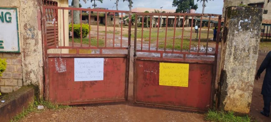 Kaduna nursing college staff embark on three-day strike