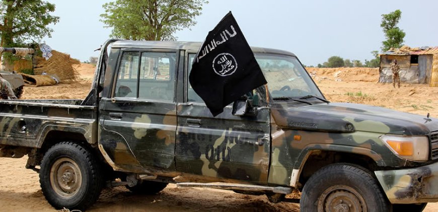 Boko Haram founder’s son arrested in Chad