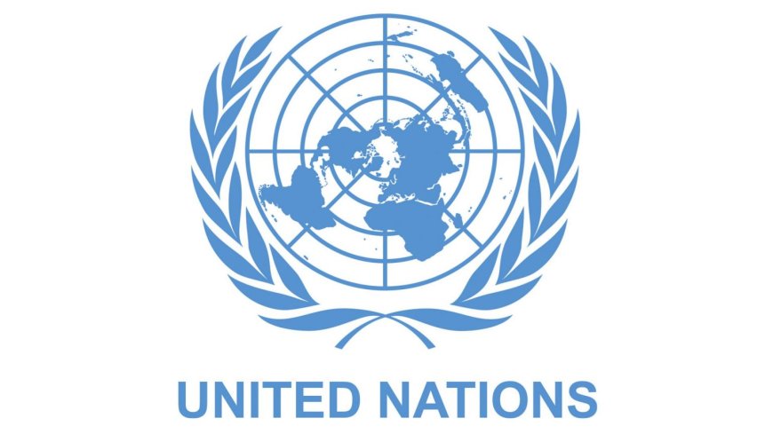 383 aid workers killed in 2024 – UN