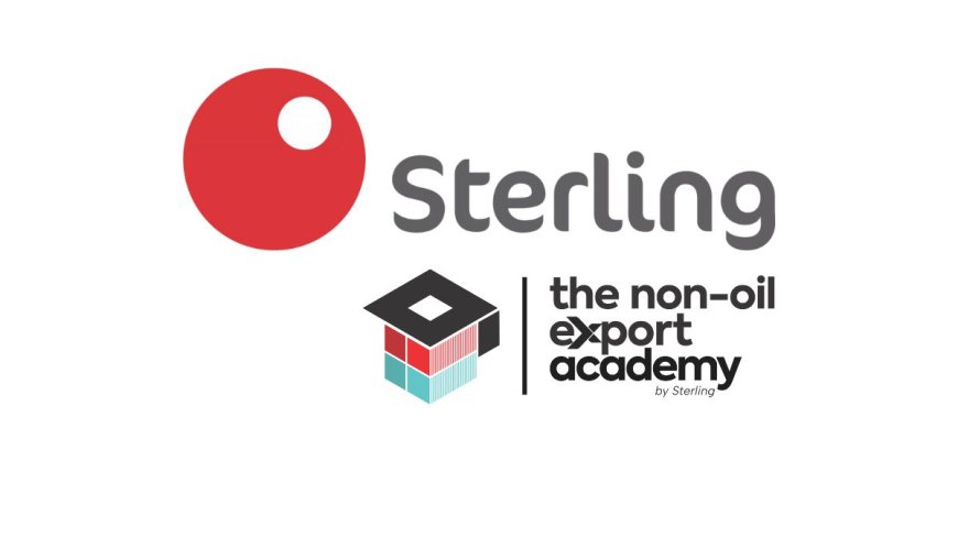 Sterling Bank Non-Oil Export Academy 2025 | How To Apply