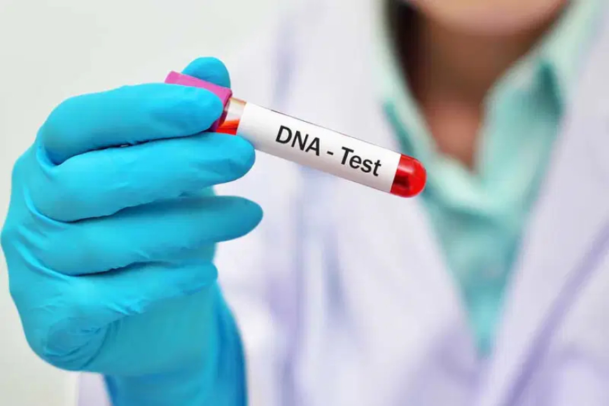 Paternity disputes: Nigerians call for mandatory DNA tests at birth