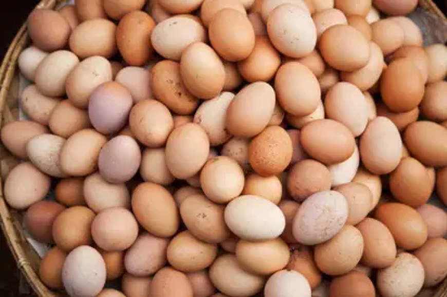 Lagos residents debunk slash in egg price