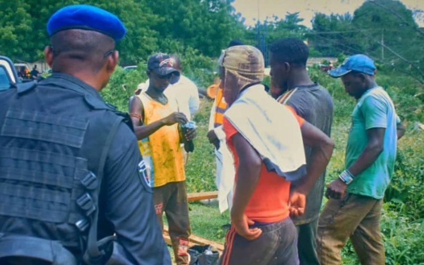 Court convicts four for illegal tree felling in Kano