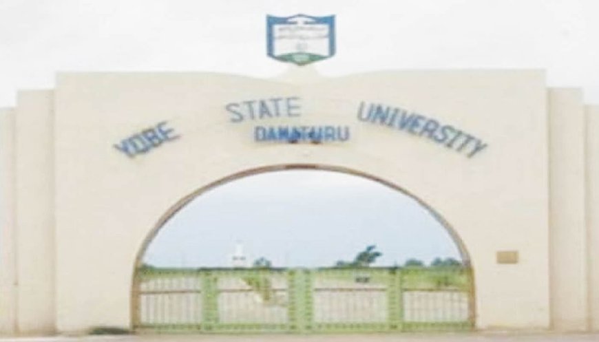 Buni mourns Yobe 100-level student killed in road crash