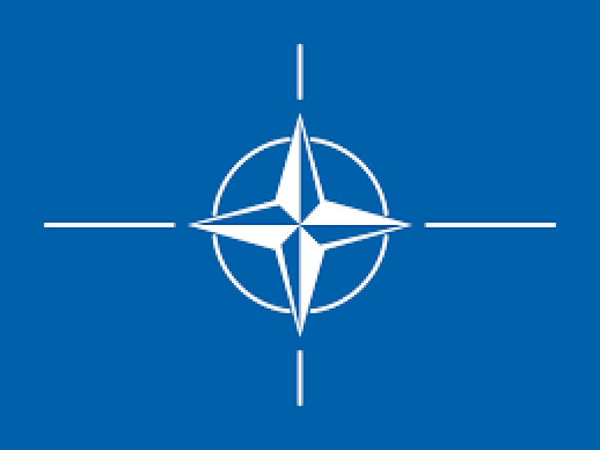 Couple arrested for leaking NATO secrets to Serbian group