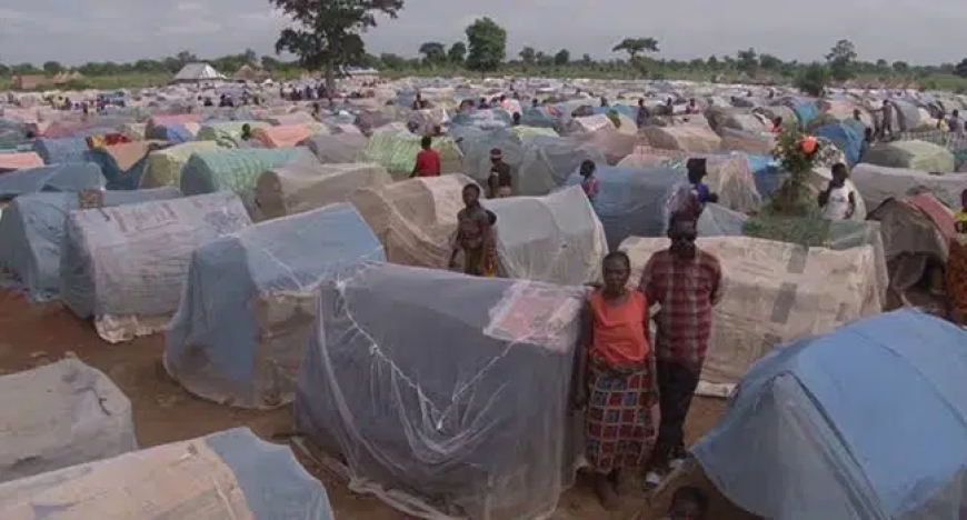 12 Benue IDPs suffer snake bite, 14-year-old victim cries for help